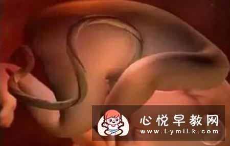 胎儿在妈妈肚子里做什么 会哭吗